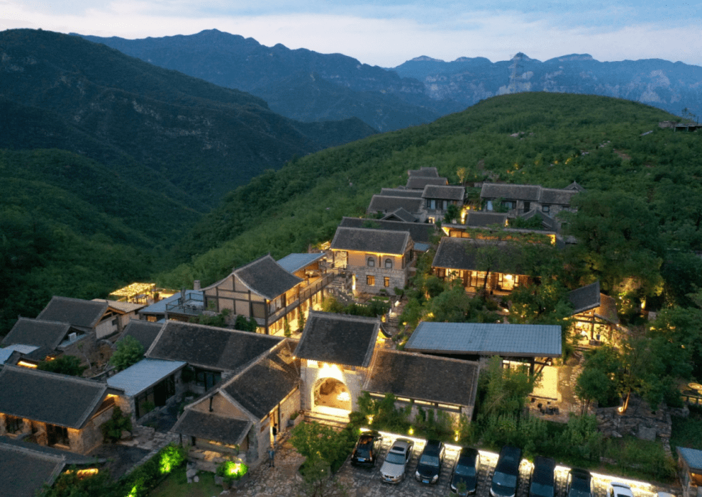 2020年焦作市县经济发展总量_焦作市农村送经济树