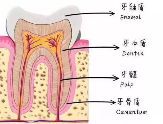 寶寶牙齒出現白斑媽媽們趕緊了解一下乳牙脫礦