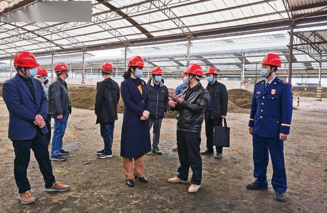 2月2日,柳城县委书记李建华率县应急局,县消防救援大队等部门,到广西