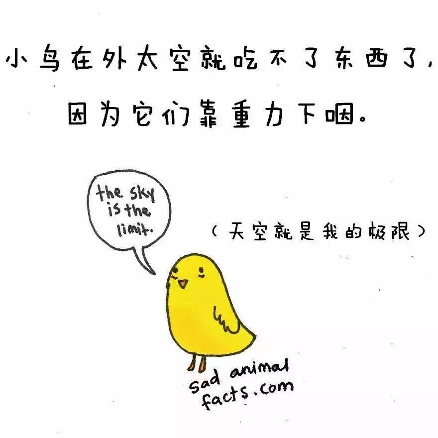 b379a45280334ebdbe4d7bf5ed48877c.jpeg