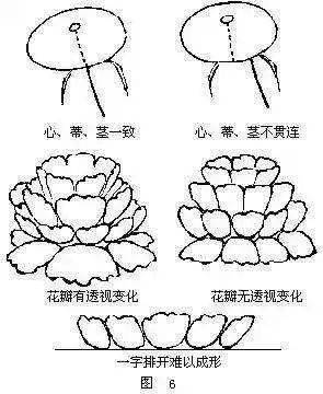 3分钟学会画牡丹!