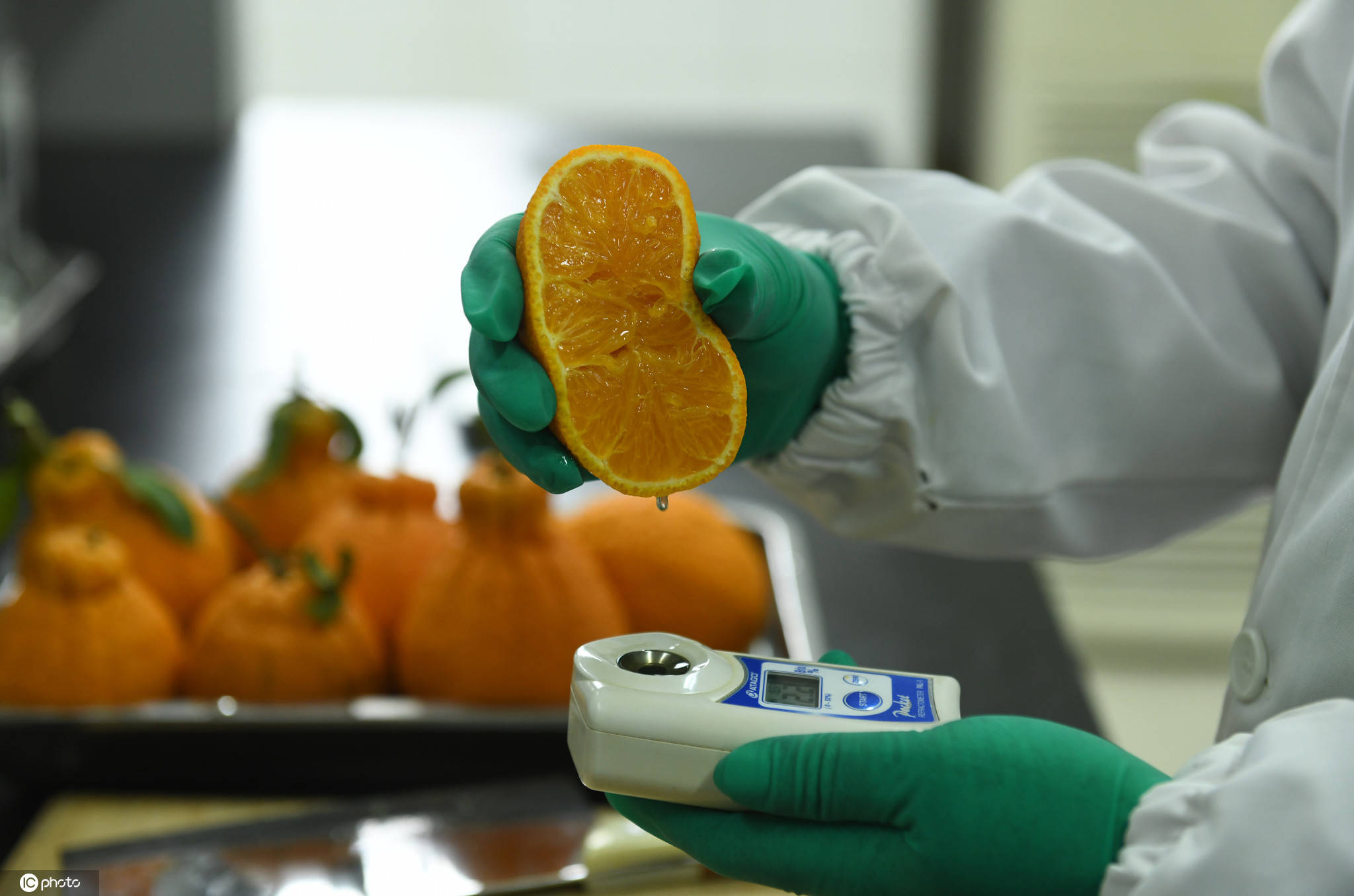 探访国家级柑桔研究所 智能化应用为柑橘种植提供便利_检测