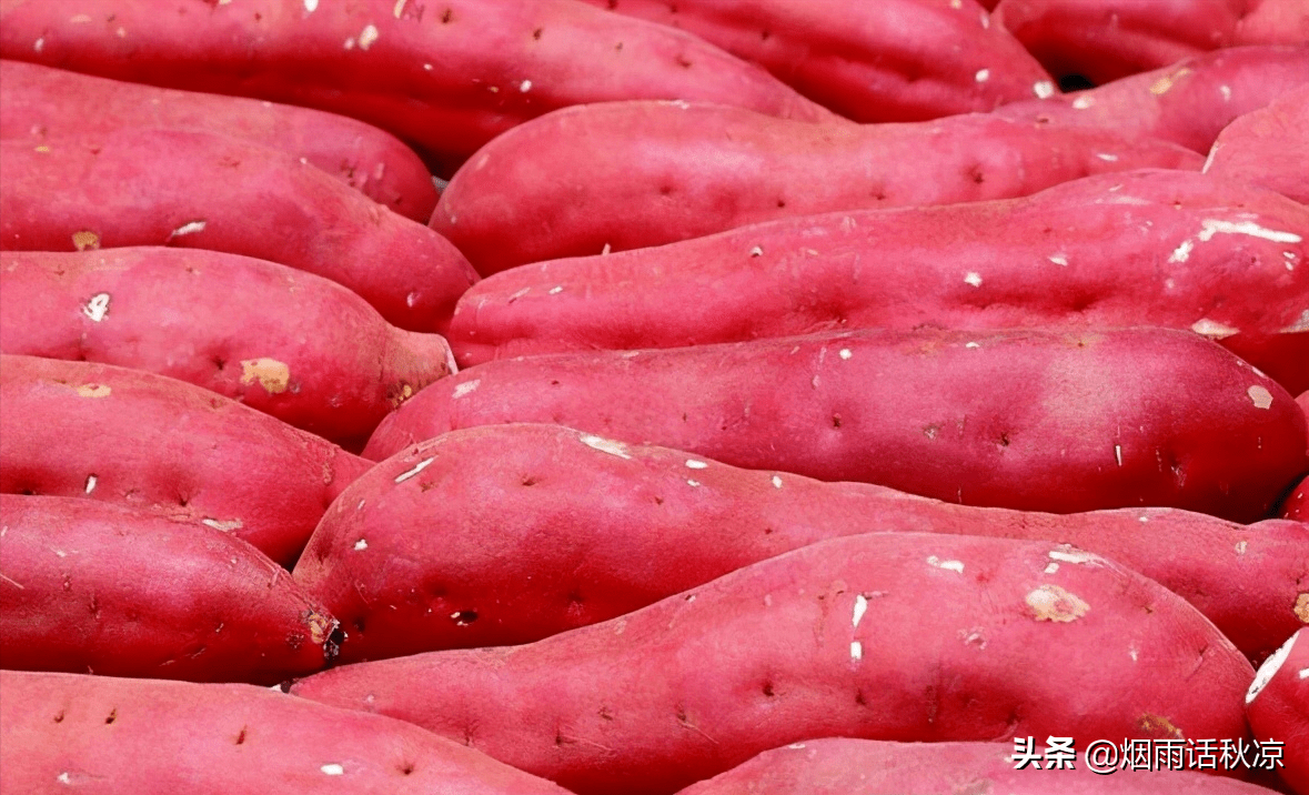 有什么好的零食是红薯 f6019befbad2470bbf93f3952feb562a.png