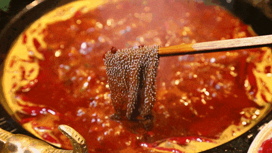 23b5c2a97a804da8a09231b668ed54ab.gif
