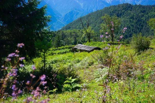 社山村人口_山村图片