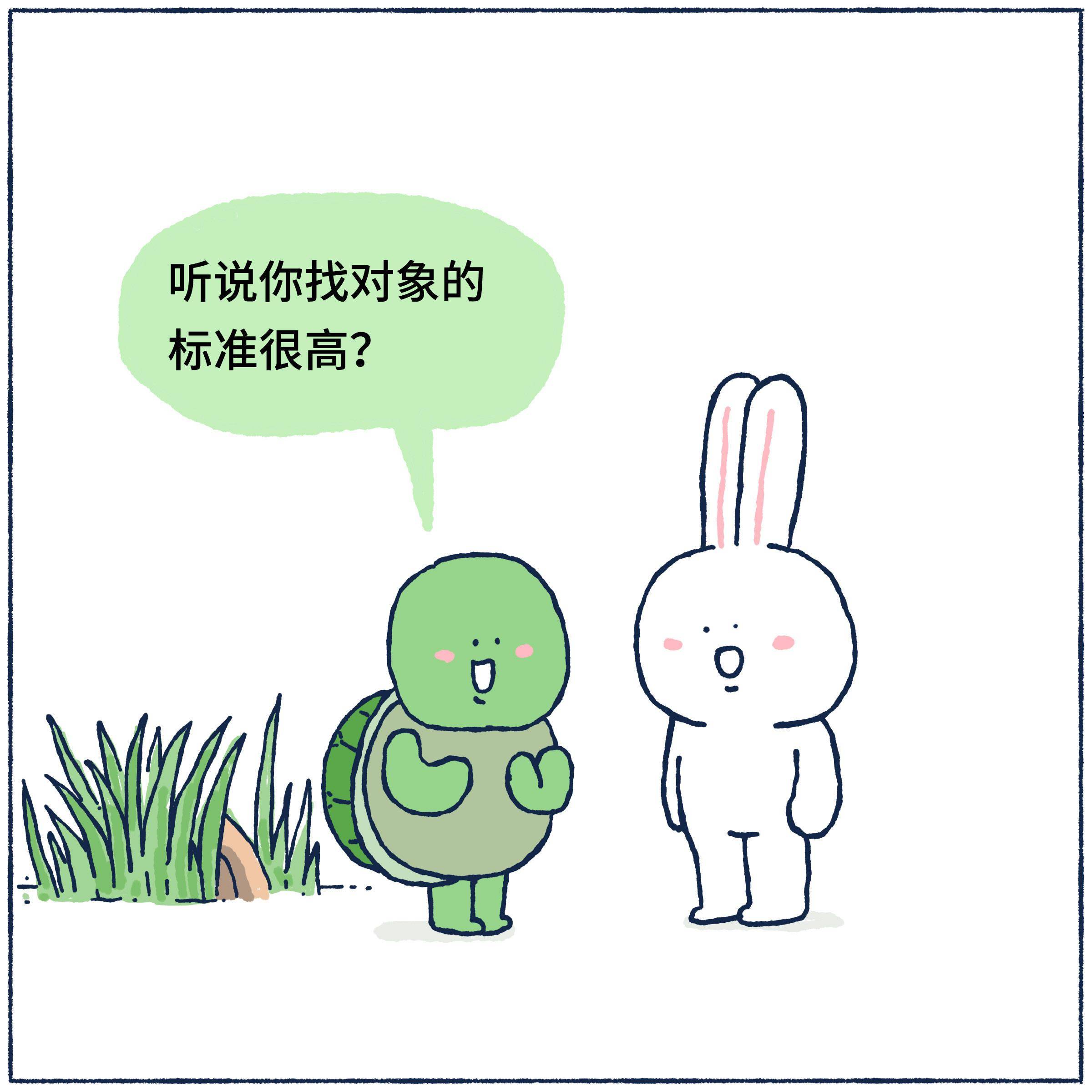 小乌龟给小兔子介绍对象