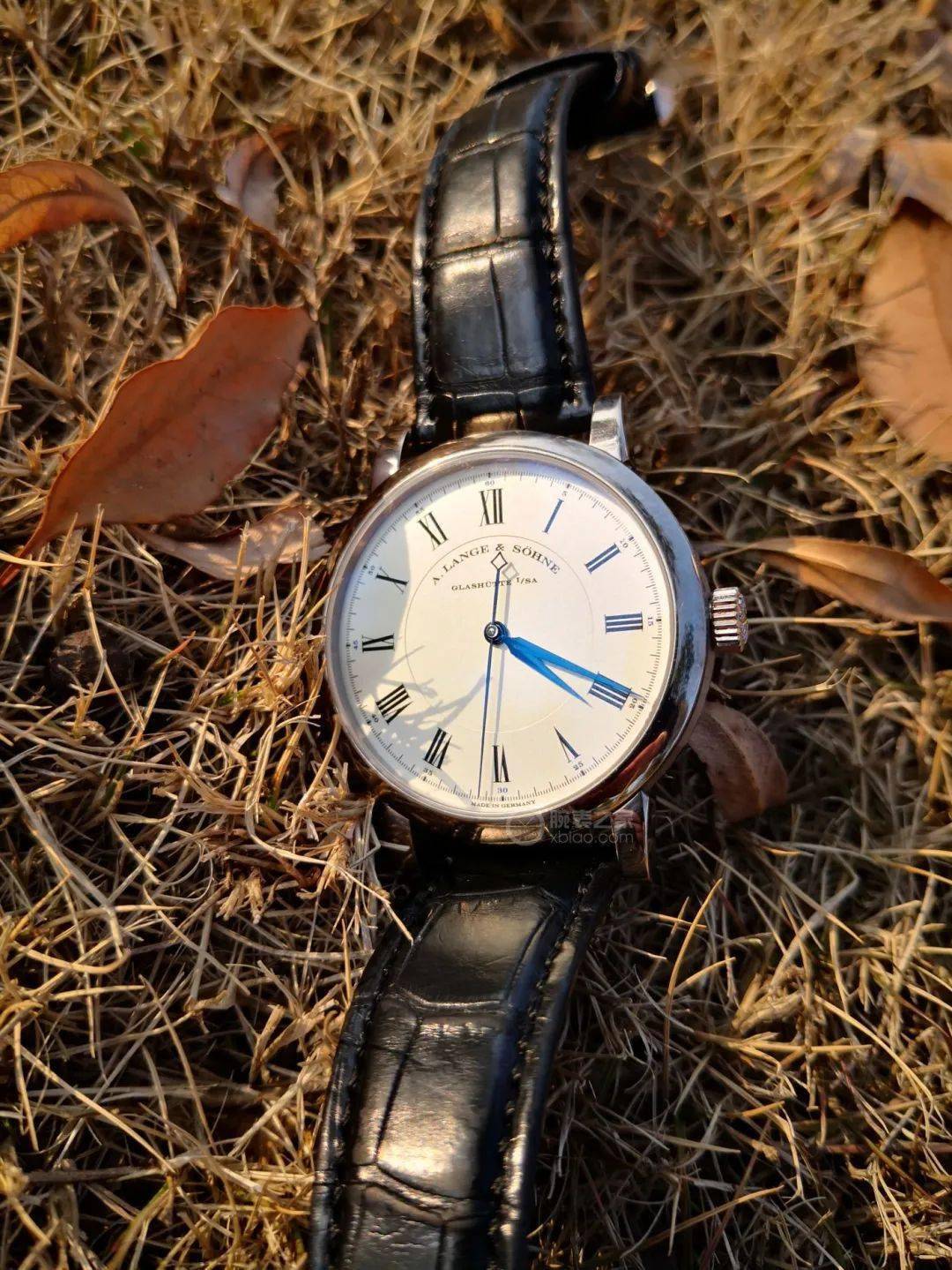 �����Լ�,�ع鱾�ġ��������ʸ�����´�����