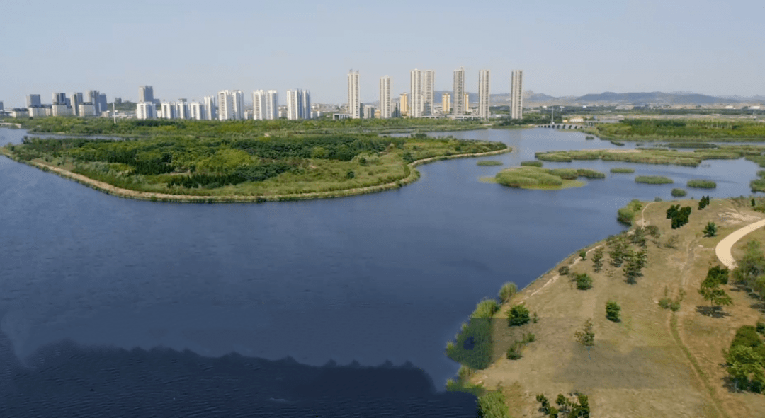 海阳市有多少人口