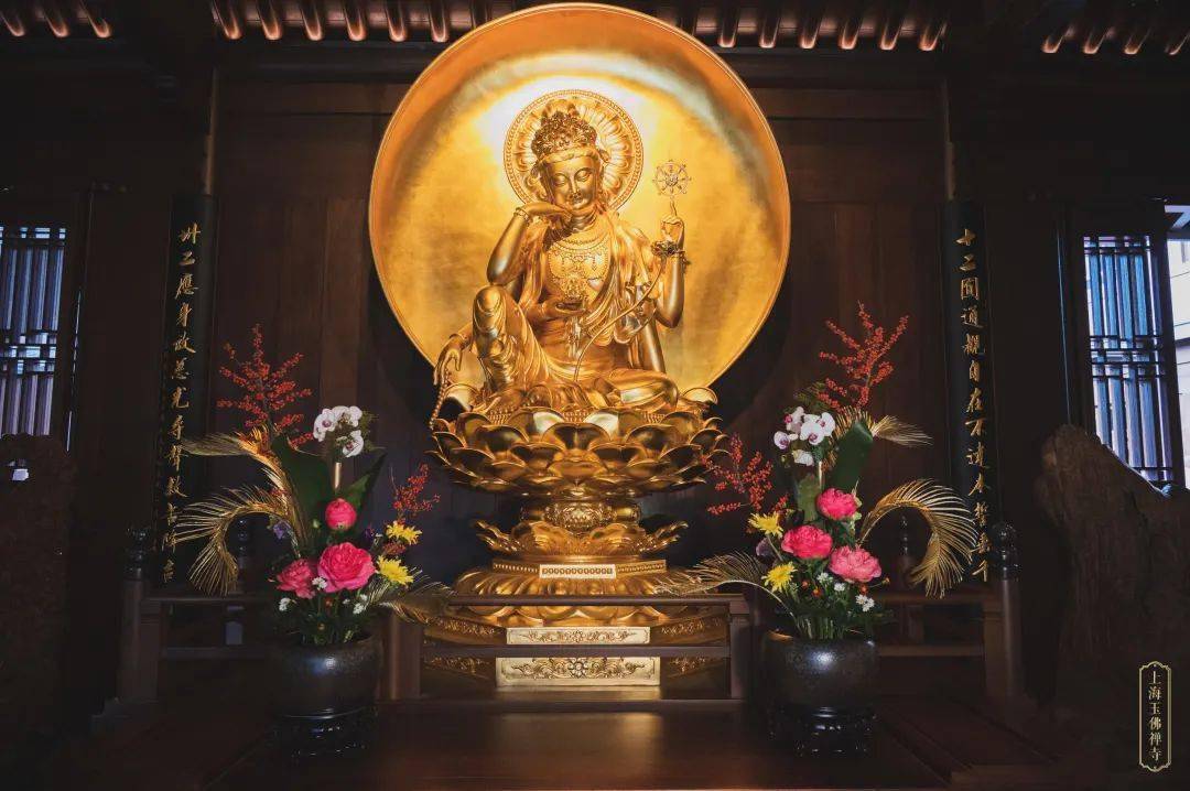 跟着法师学宝积经28根治烦恼须得以智为药