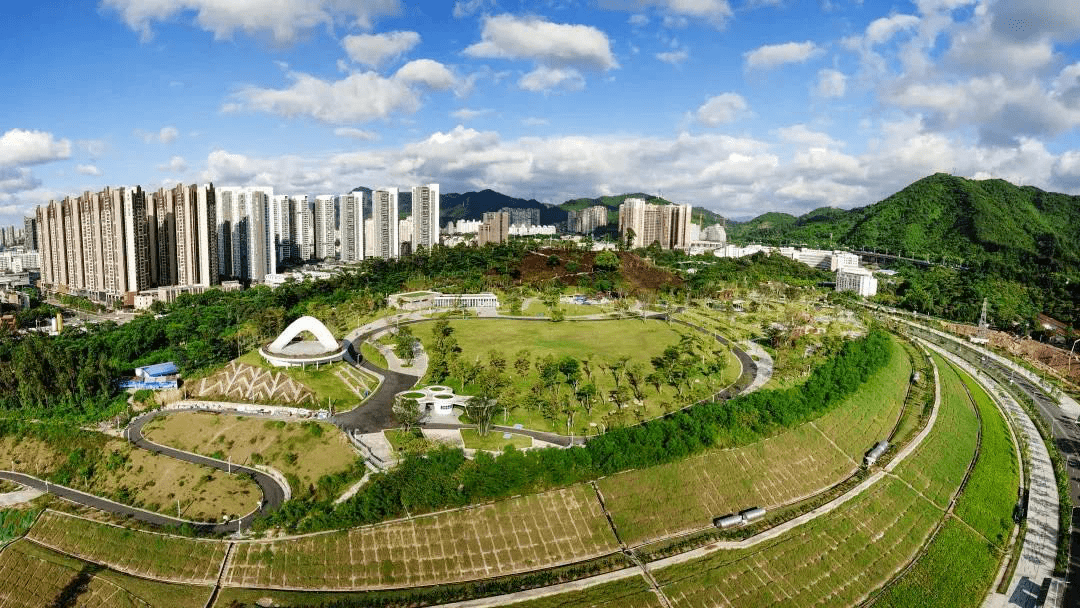 [春节留深] 一起在民治过年,这份春节吃喝玩乐攻略等你来解锁!_公园