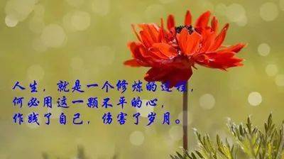 bccbc6bb4e134efc8fc9a1c2ff534872.jpeg
