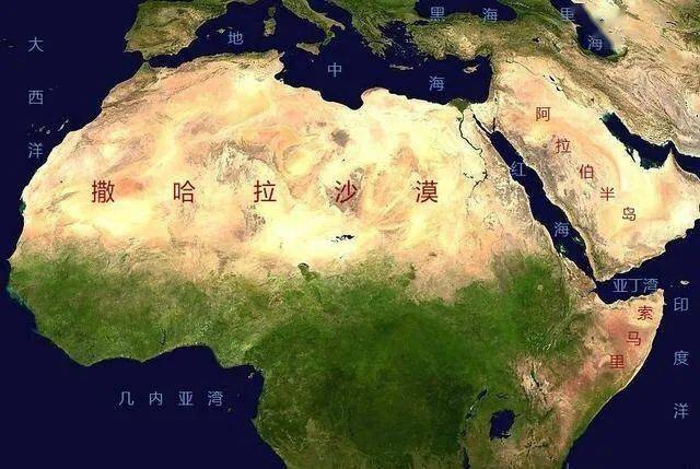 人口市场_人口普查
