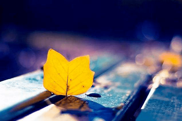 如何让自己更快乐更有力量 10976cc275134fdcb91bc9de69962a20.png