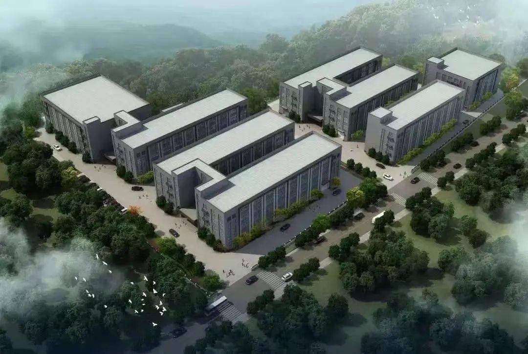 青山矗立展风光丨亮点纷呈 看这里 企业