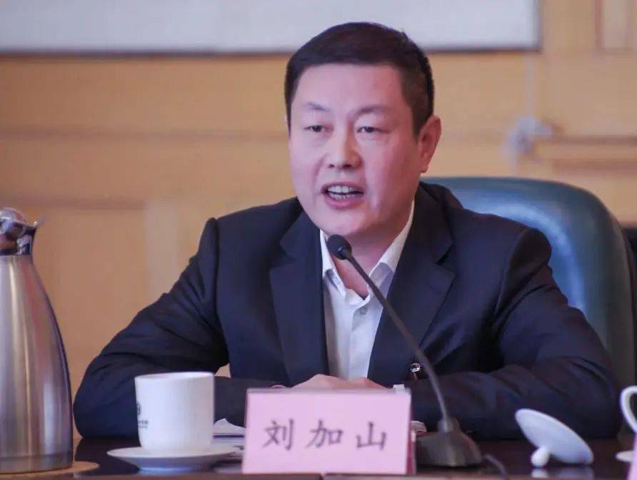 山东律师两会时刻省人大代表篇