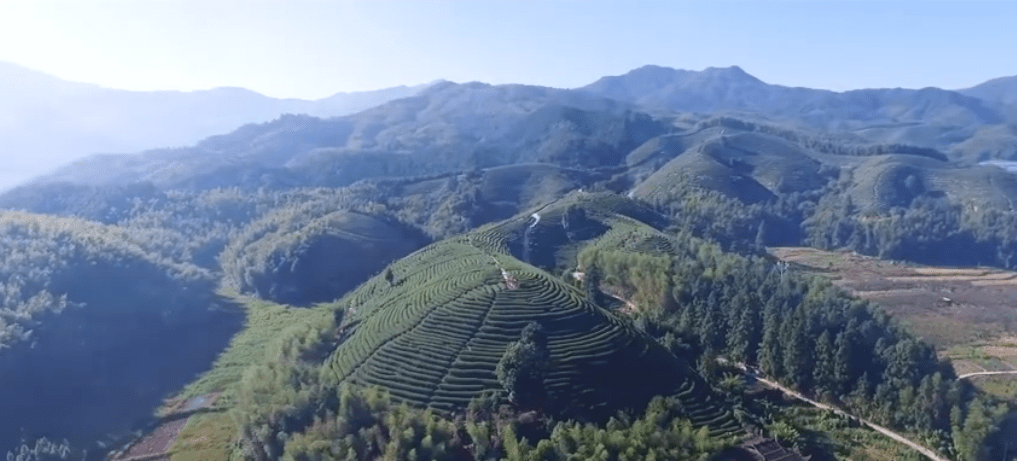 微纪录建瓯你看这是玉山镇用灵山秀水绘制出的生态画卷