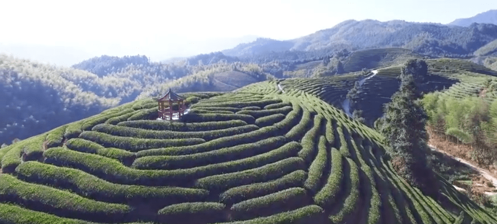 微纪录建瓯你看这是玉山镇用灵山秀水绘制出的生态画卷