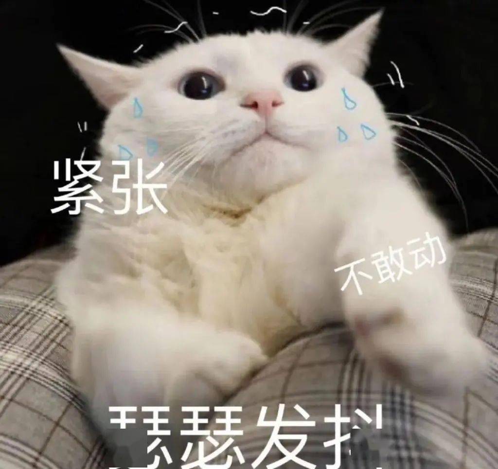 7fb0f6f1a87241fcb2d5740f1267b8c4.jpeg