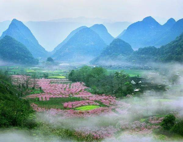 春天来了2021桂林赏花指南快收好