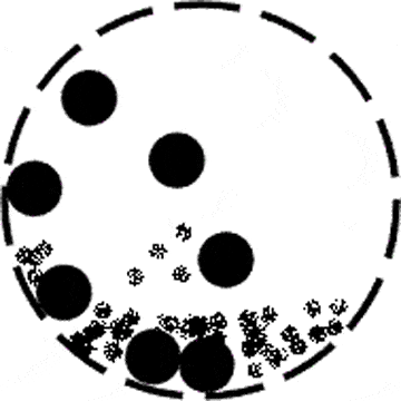 文章配图-10