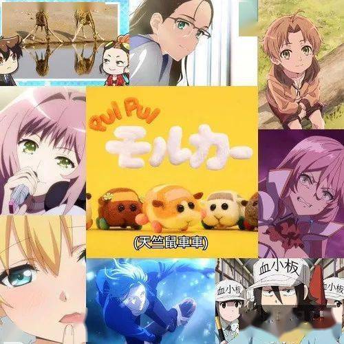 21年1月新番万字扫雷 小孩才看鬼灭之刃 大人都看天竺鼠车车 动画