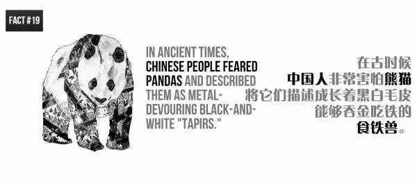 20個關於熊貓的冷知識，看到第6個我驚了！ 萌趣萌寵 第19张