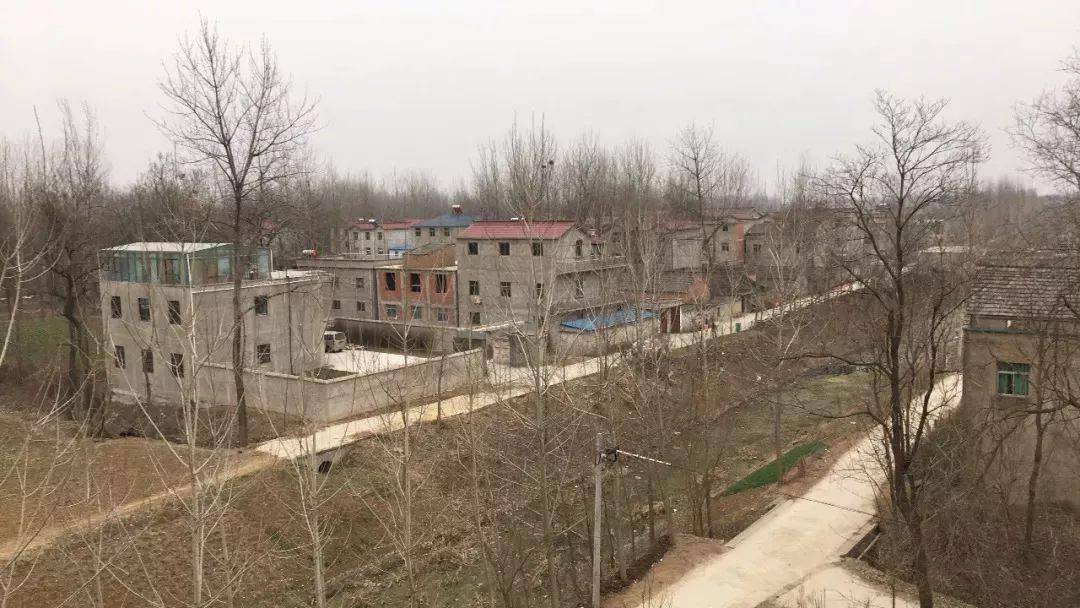 沈丘人口有多少_沈丘地图(3)