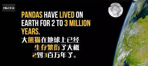 20個關於熊貓的冷知識，看到第6個我驚了！ 萌趣萌寵 第13张