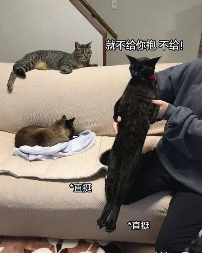 64eaef0a612d469cb4312308e5249fe3.jpeg