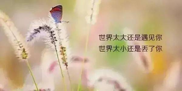 429beb19e3a9495e896e67a787189ceb.jpeg