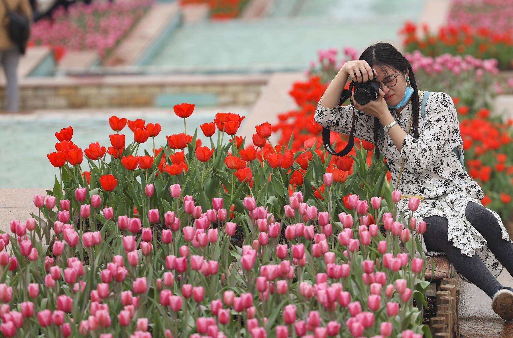 留粤过年,花城看花!广州各大公园景区最新赏花攻略请收好