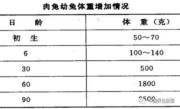 仔兔初生体重50克左右,1月龄时体重相当于初生时的10倍,初生至3月龄
