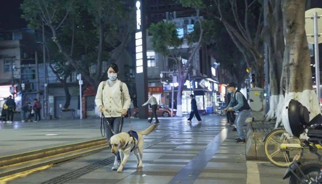 狗狗怎么托运高铁 599366db4eee440282b824e362566adf.jpeg