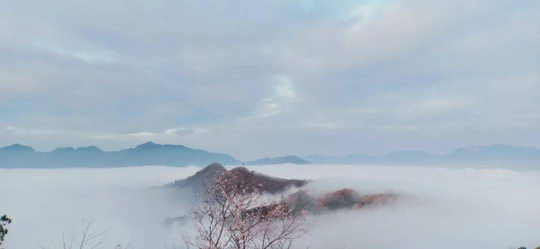 大年初一！歙县霞坑大美云海如瀑布直挂天际！