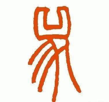 牛年说牛原来这么多学问