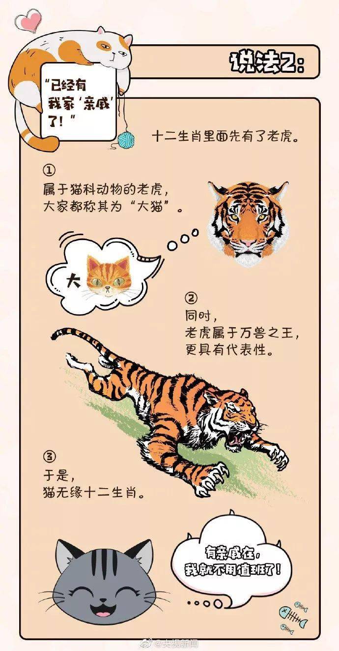 為什麼十二生肖沒有貓？ 萌趣萌寵 第3张