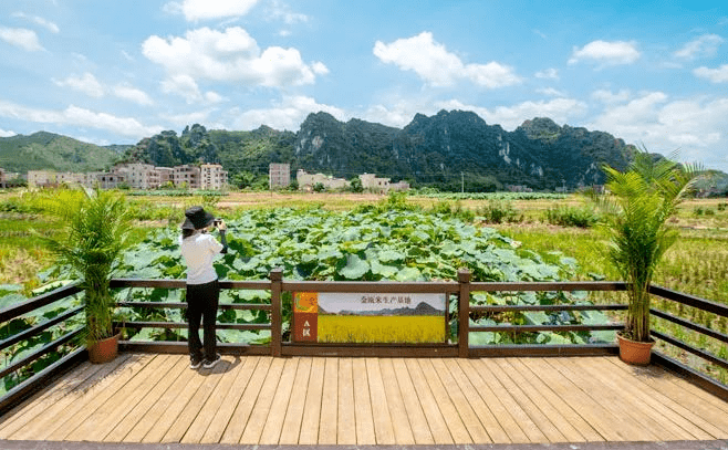 拜年啦罗定这10个美丽乡村等你来翻牌