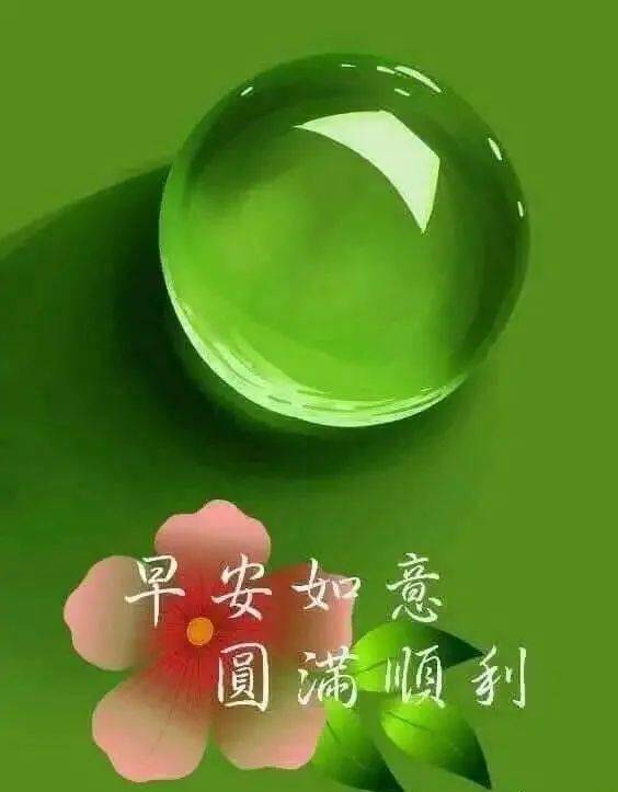 朋友圈清晨暖心祝福問候圖片唯美鮮花早上好溫馨祝福語錄