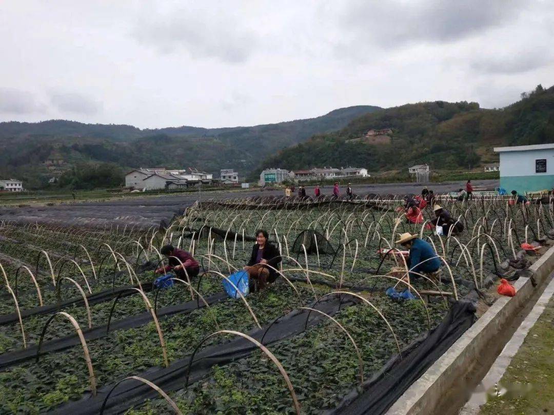 汉滨人口_汉滨高中(2)