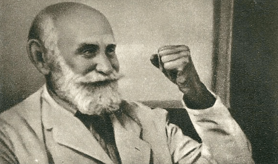 虐狗偷狗与爱狗巴甫洛夫与40条狗共渡的实验时光