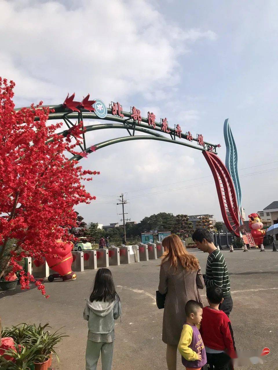 钦州的北部湾花卉小镇今年春节虽然不很热门