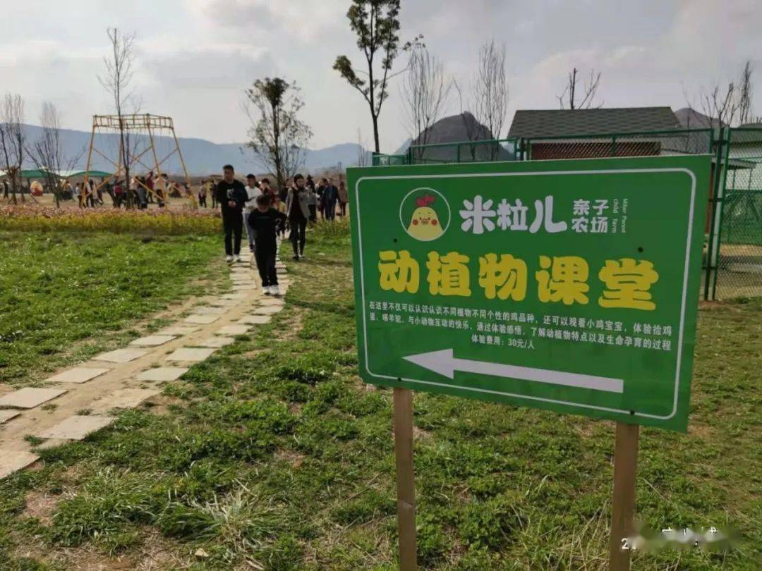 年初三我们去了七眼桥镇的米粒儿亲子农庄