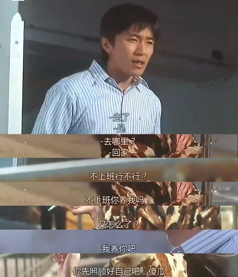 《喜剧之王》"我养你啊!""喂""又怎么了?"" 不上班行不行?