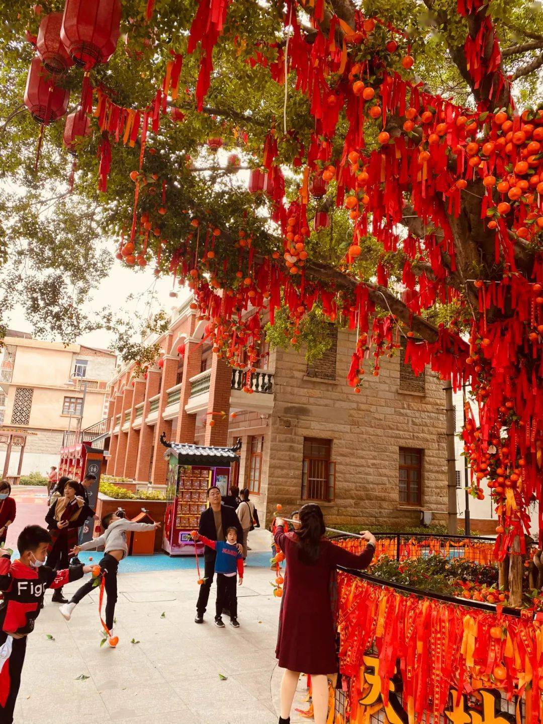 听说这两天这个村子沸腾了