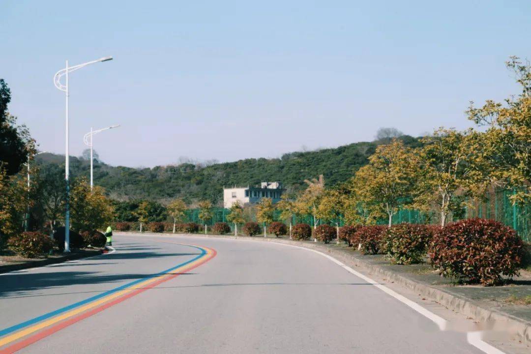 吴中超美彩虹路快来打卡