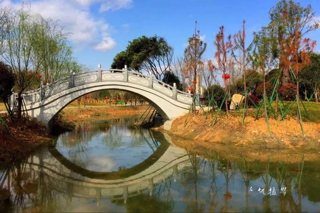 怕堵龙港本地景点汇总请收藏