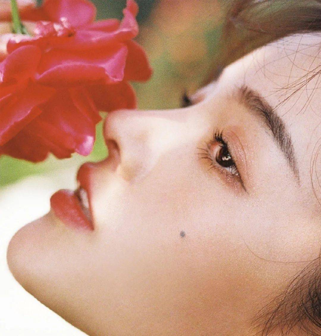 春日拍花硬核手册!