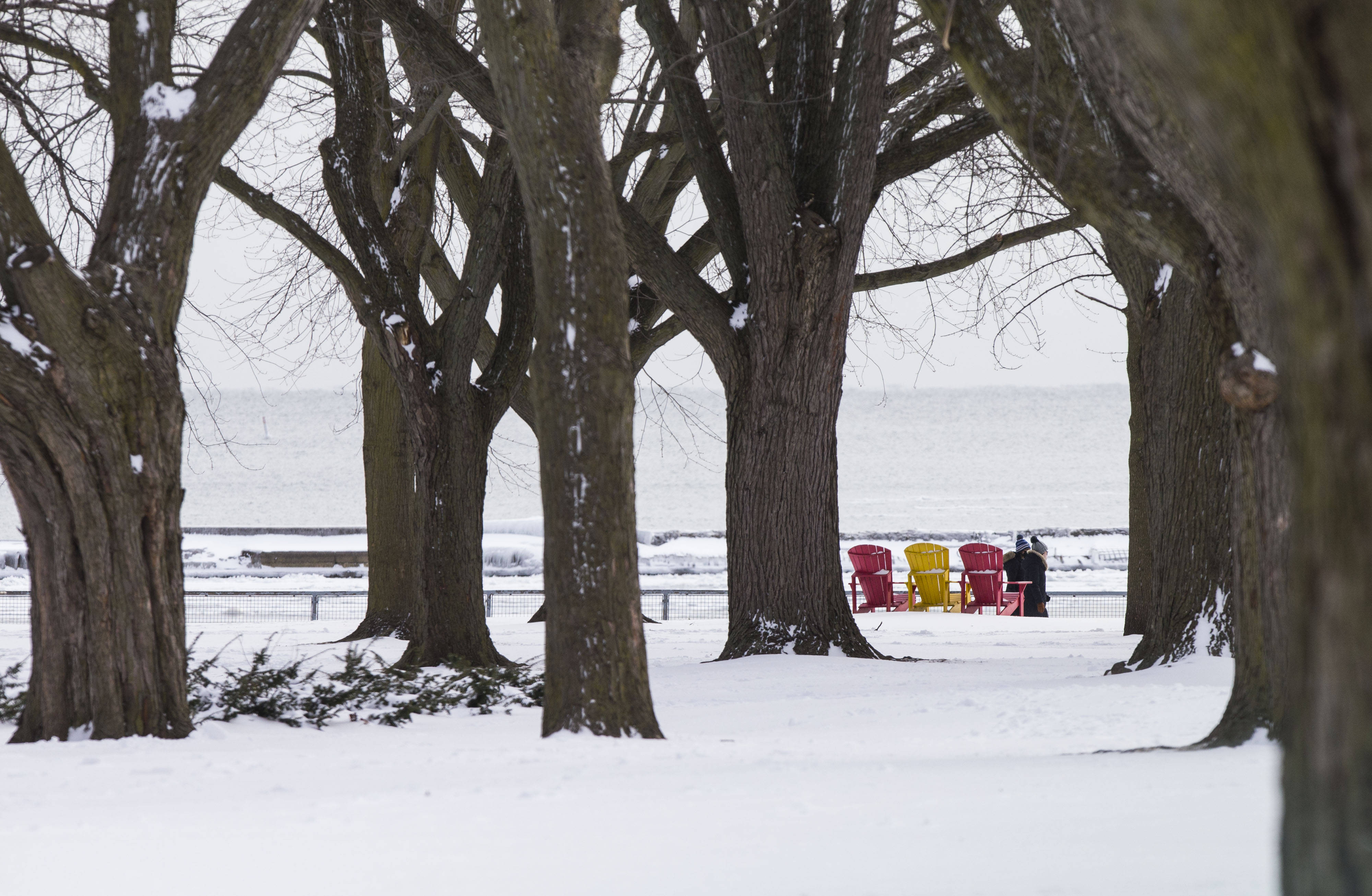 加拿大多伦多地区普降大雪
