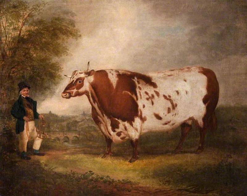 品鉴牛年大吉看看西方油画里那些长方形的牛