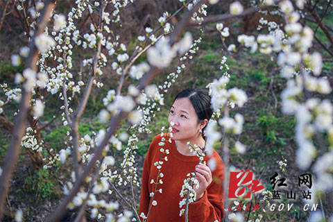 新春走基层 蓝山 正月花开春意浓 彭华
